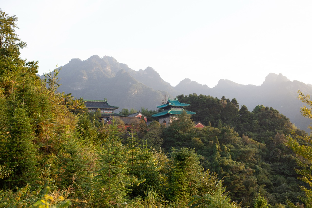 Taiji Training im Park